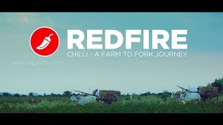REDFIRE | MANE&KANCOR Corporate Documentary Movie